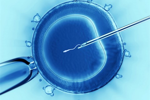 http://nanjing.vdtfzz.com/post/198.html|南京代生助孕