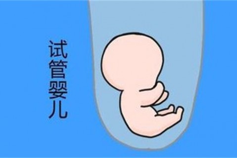 http://nanjing.vdtfzz.com/post/194.html|南京新闻中心