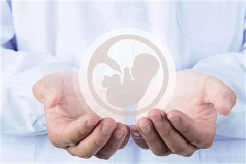 http://nanjing.vdtfzz.com/post/214.html|南京人工试管